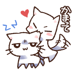 white dog and white cat