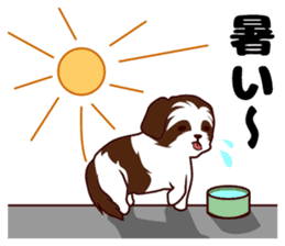 Daily Shih Tzu sticker #5140484