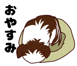 Daily Shih Tzu sticker #5140492