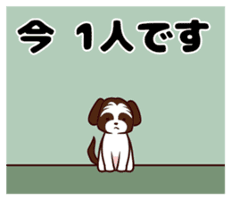 Daily Shih Tzu sticker #5140498
