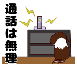 Daily Shih Tzu sticker #5140502