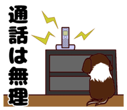 Daily Shih Tzu sticker #5140502