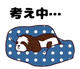 Daily Shih Tzu sticker #5140506