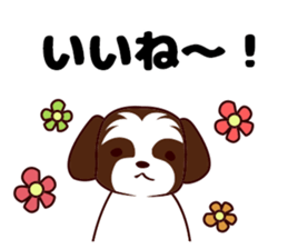Daily Shih Tzu sticker #5140509