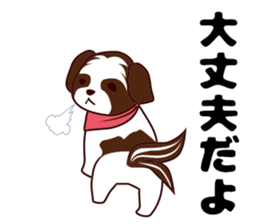 Daily Shih Tzu sticker #5140514