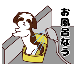 Daily Shih Tzu sticker #5140518