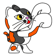 JIN-JIN Tortie-Cat Life