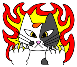 JIN-JIN Tortie-Cat Life sticker #5141047