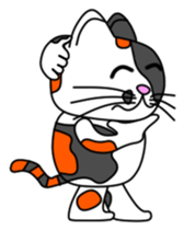 JIN-JIN Tortie-Cat Life sticker #5141049