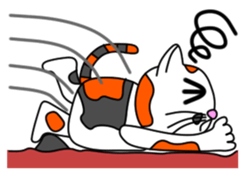 JIN-JIN Tortie-Cat Life sticker #5141052