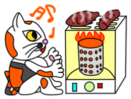 JIN-JIN Tortie-Cat Life sticker #5141063