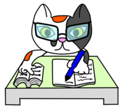 JIN-JIN Tortie-Cat Life sticker #5141064