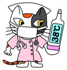 JIN-JIN Tortie-Cat Life sticker #5141066