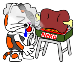 JIN-JIN Tortie-Cat Life sticker #5141069