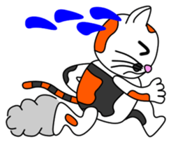 JIN-JIN Tortie-Cat Life sticker #5141072