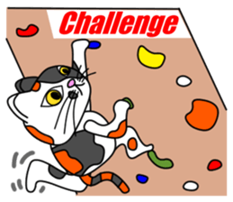 JIN-JIN Tortie-Cat Life sticker #5141075