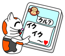 JIN-JIN Tortie-Cat Life sticker #5141078