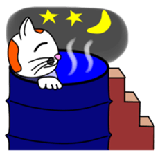 JIN-JIN Tortie-Cat Life sticker #5141082