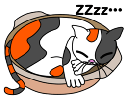 JIN-JIN Tortie-Cat Life sticker #5141083