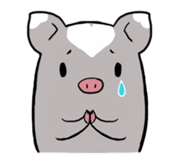 chu-pig sticker #5141316