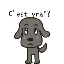 Labrador retriever HALU speaks in French sticker #5143744