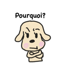 Labrador retriever HALU speaks in French sticker #5143749