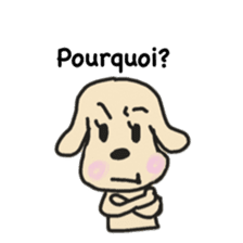 Labrador retriever HALU speaks in French sticker #5143749