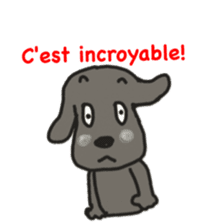 Labrador retriever HALU speaks in French sticker #5143755