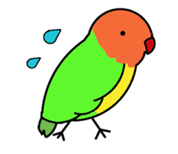 A playful parrot 2 sticker #5144312