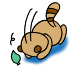 NO PANDA! RACCOON DOG! sticker #5146702