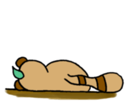 NO PANDA! RACCOON DOG! sticker #5146713