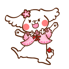 Maltese Minnie