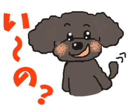 Fluffy Poodles 2 sticker #5147140