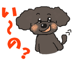 Fluffy Poodles 2 sticker #5147140