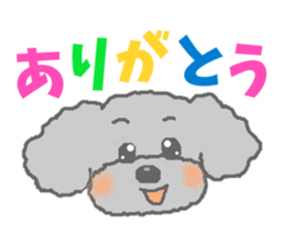Fluffy Poodles 2 sticker #5147146