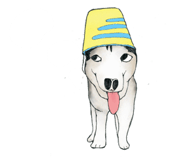 Mr.pEtEr" and his cat sticker #5147338