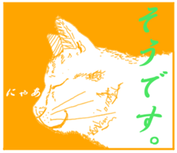 In the name of cat! sticker #5161297