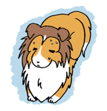 Cute sheltie sticker #5161816