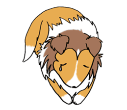 Cute sheltie sticker #5161818