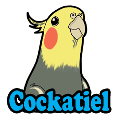 Whimsical Cockatiel