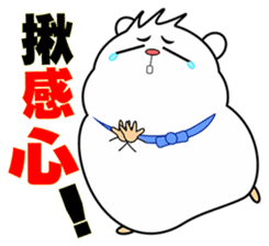 Cute funny hamster (Practical Tips 3) sticker #5163304