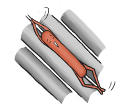 Hot dog sticker #5163713