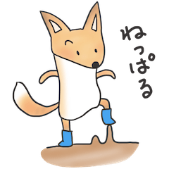 A Little Fox in Hokkaido