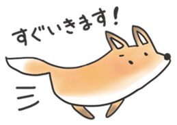 A Little Fox in Hokkaido sticker #5164900