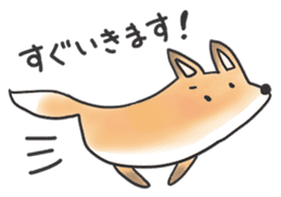 A Little Fox in Hokkaido sticker #5164900