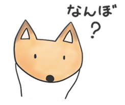 A Little Fox in Hokkaido sticker #5164923
