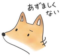 A Little Fox in Hokkaido sticker #5164928