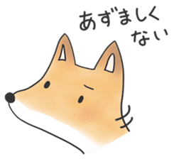 A Little Fox in Hokkaido sticker #5164928