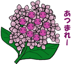 Talking flowers sticker #5166302