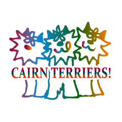 CAIRN TERRIERS
